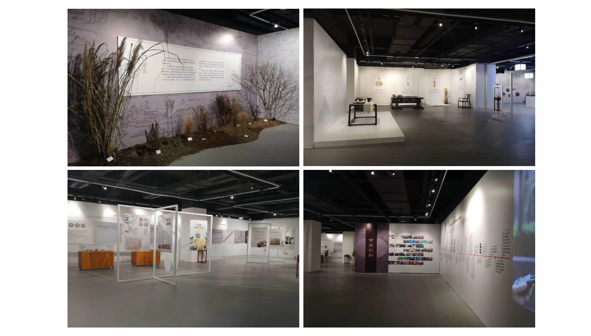 非遺傳承健康生活——中醫(yī)藥之美專題展